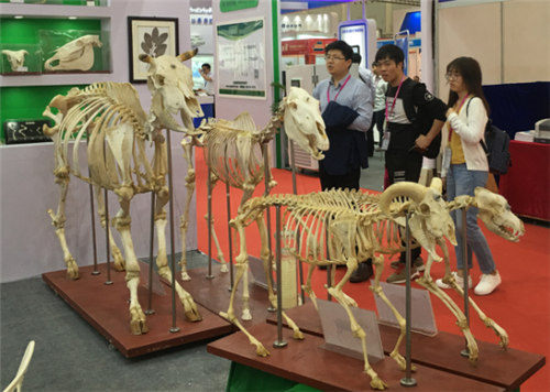 祝贺雨林参展4月教育“两会”圆满成功