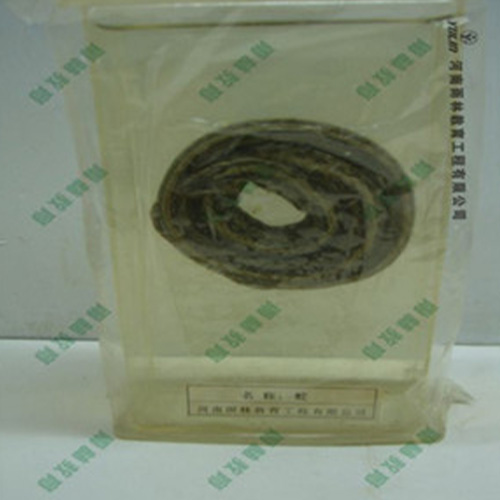 湖南蛇浸制标本