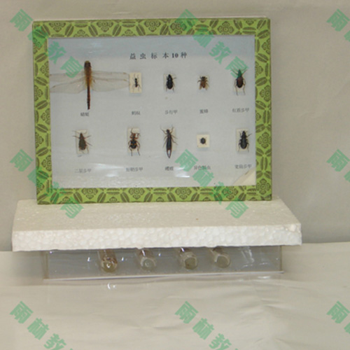 湖南益虫标本