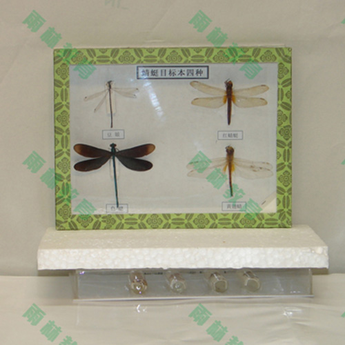 湖南常见昆虫100种