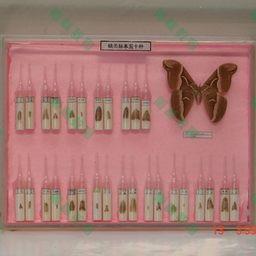 湖南常见蛾类100种