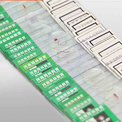 湖南中药饮片标本