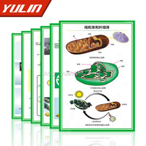 湖南病虫害防治挂图