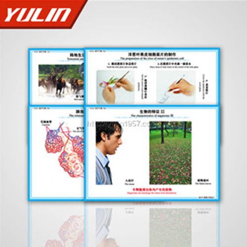 湖南微生物及免疫教学挂图