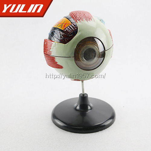 湖南眼构造模型