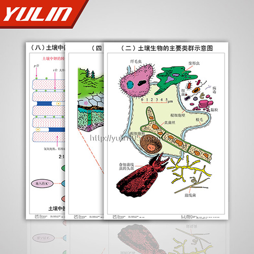 湖南土壤肥料挂图
