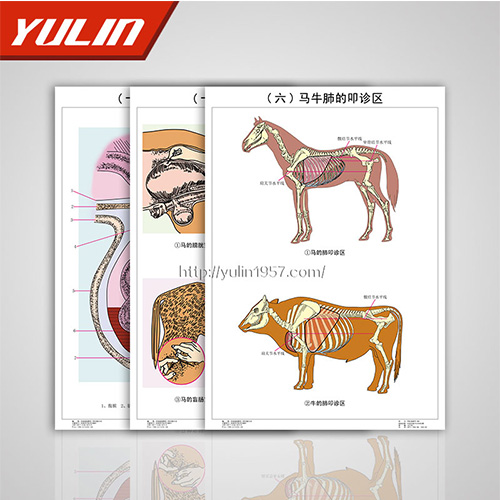 湖南职业教育教学挂图